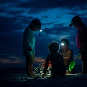 Insectenspeurtocht: een avontuurlijke ontdekkingsreis voor kinderen