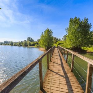 Waarom de natuur in Zwolle en Nijmegen perfect is voor een kinderkamp