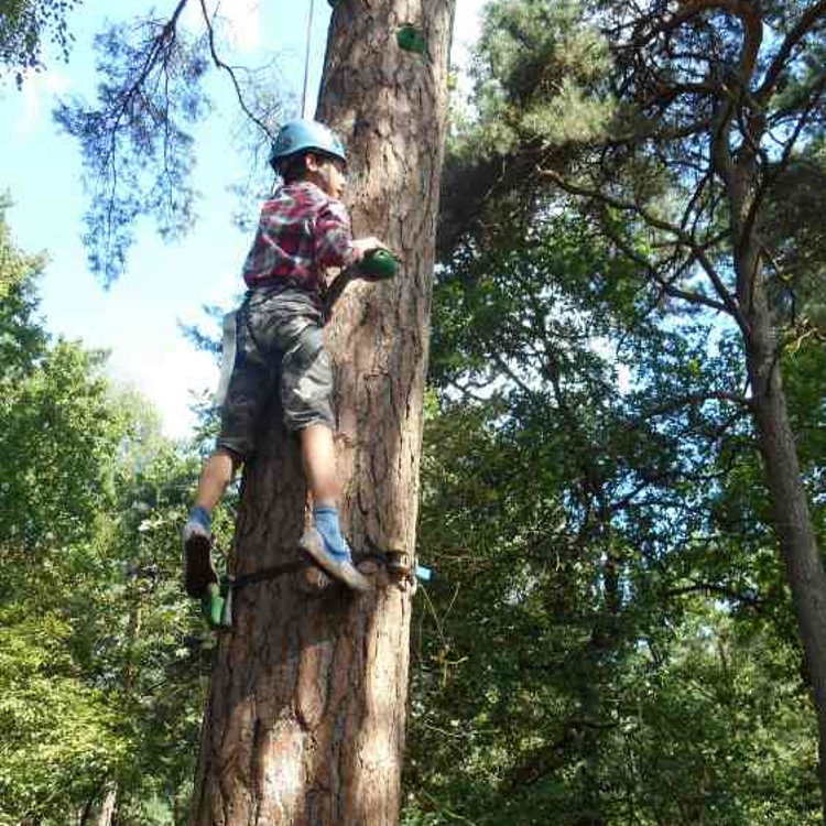 Bushcraft Lodge Camp 4 dagen